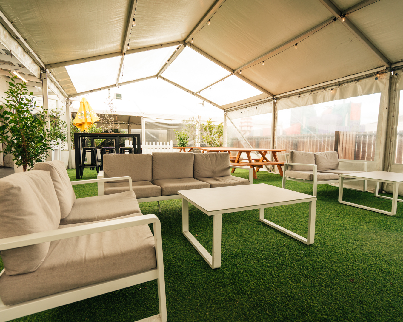 Queenofthewest sept2025 09